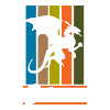 Dragon fire imagination
