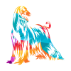 Greyhound