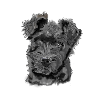 Pumi