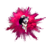 Malamute Uhlan