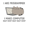 Programierer lustige Katze Computer Nerd