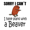 BEAVER: Plans with a Beaver