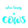 Cow Cows