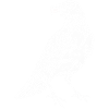 Crow