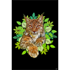 Lynx Cat Freedom