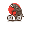 Racoon MTB