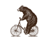 Porter sur le vélo
