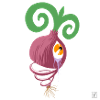Crying Onion