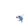 Judo