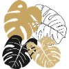 Monstera leaves line art