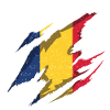 Romania Romanian Romanian Flag Beast