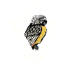 Parrot - sacred geometry