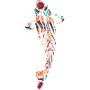 Koi carp mosaic mandala