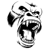 Gorilla star