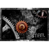 STEEL Industry
