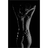 Shapely nude woman from behind