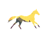 Wildpferd Pferd Pferde Wildpferde