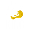 Car detailing King Polishing Polish Car wash