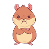 Hamster en colère