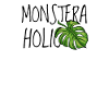 Monsteraholic | Window leaf Monstera plant