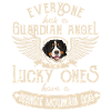 Berner Mountain Dog sjov gave
