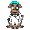 Dog Doctor