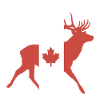 Deer with Canadian flag
