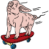 Pig skateboard enjoyment