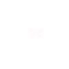 Heartbeat Butterfly