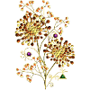 Fleurs