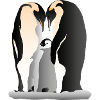 Family of Emperor Penguins