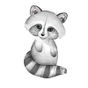 Netter Babywaschbär