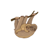 Sloth | Bestseller |