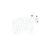 Polar bear | Bestseller |
