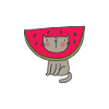 Cat in watermelon | Bestseller |