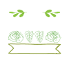 Vegan vegans