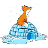 fox igloo winter ploar comic