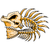 fish bones skeleton fish
