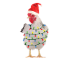 Christmas Chicken
