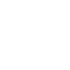 Car Auto