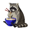 Racoon Ramen