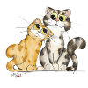 zwei Katzen