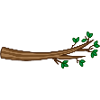 Branche / branche / arbre / arbre / arbre