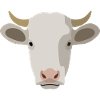 vache