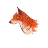 Nature Fox nature lover gift