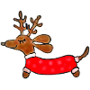 Xmas dachshund