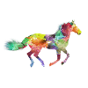 Regenbogen Pferd Design als Geschenkidee