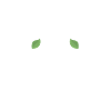 Heilpraktiker Naturheilkunde