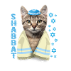 Sjov jødisk jødisk sabbat Shalom Se kat med K