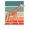 giraffe